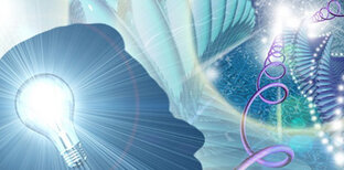 Начало. Технологии доступа к сути