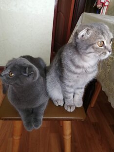 Ксюша и Плюша в детстве