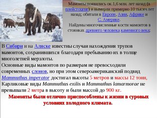 Исторические факты
