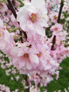 Первые главы всех частей