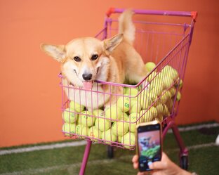 Игрушка для Бильбушки