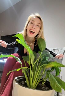 Новостной ☆дец