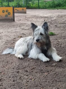 Приветик из дома 🏘