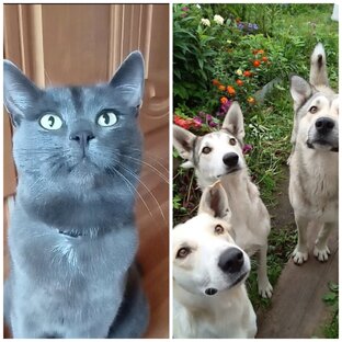 Истории из нашей жизни. 