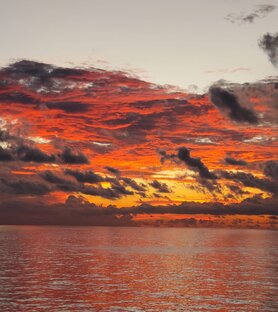 Музыка прошлого столетия ❤️