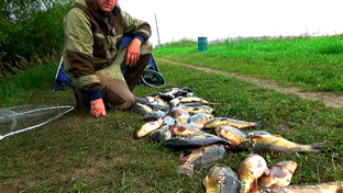Рыбалка на Донки