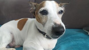 Животные и природа