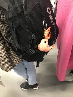 Творческое творчество 