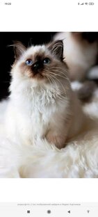 Эдиты или короткие видео