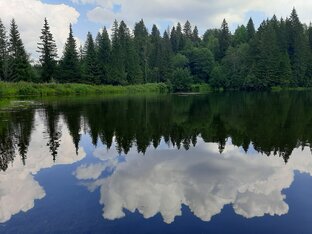 В гармонии с природой