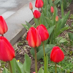 Интересные истории , рассказы , статьи  . 