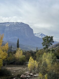 Памятники природы 