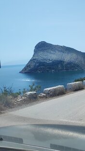 Прогулки французского бульдога Буржуя