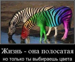 Мои стихи. Публикую по вторникам.