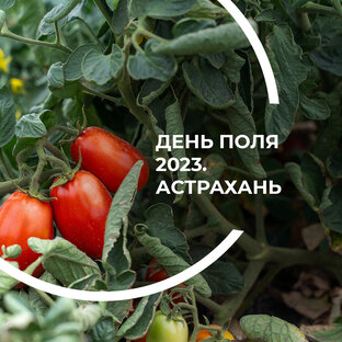Мероприятия