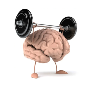 Зарядка для мозга