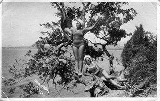 Фотографии из бабушкиного сундука