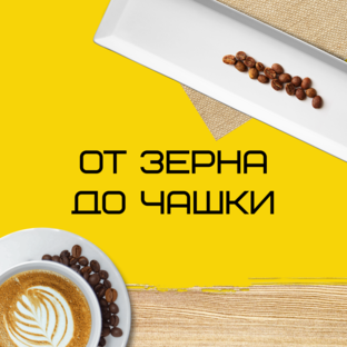 От зерна до чашки