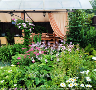 САДОВОДСТВО 