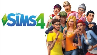 (004) SiMS 4