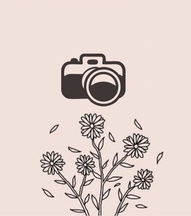 Фотосессии 📸