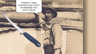 ИСТОРИЯ 