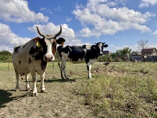 Ежедневная рутина 