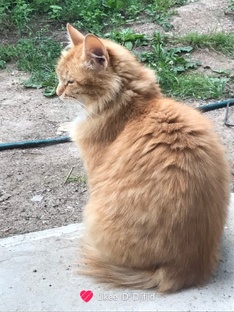 Рекомендованные видео! И статьи