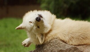 полезная информация по каналу😋