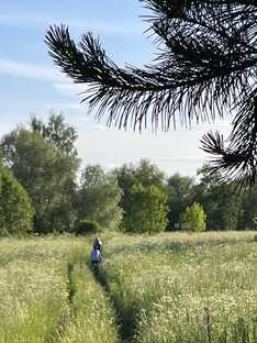 ПРОВЕЛОПСИХОЛОГИЮ