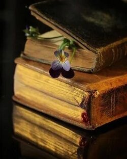 Книжная полка