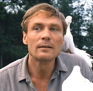 Любовь и голуби