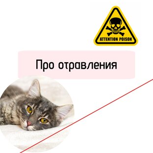 Про отравления