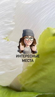 Куда пойти? KudaGo