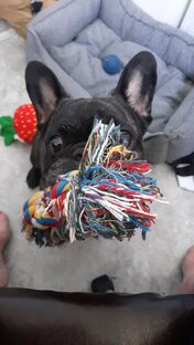 Французский пирожок Арчи