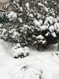 Красавица-зима 🎿