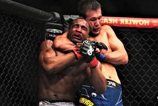 Зрелищные рубки