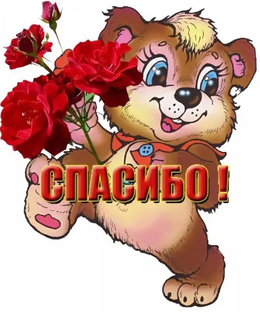 Отчеты…