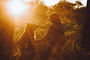 Полезное для клиентов