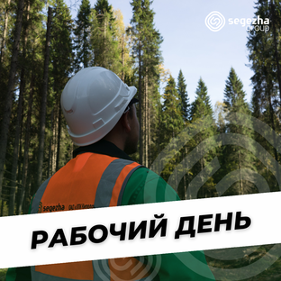 Рабочий день с сотрудником на производстве Segezha Group