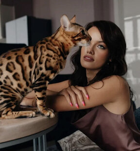 Симба🐆