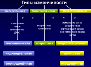 Изменчивость