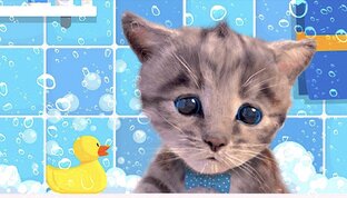 Лучшие видео про котенка