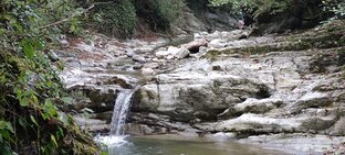 Философия жизни