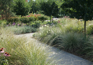 Реализованные проекты