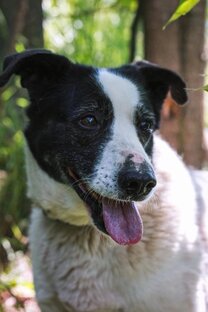 Навсегда с нами😭