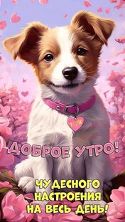 Дучшее рядом снами 