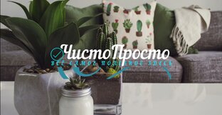 Комнатные растения и сад