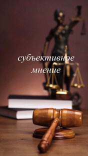 субъективное мнение 