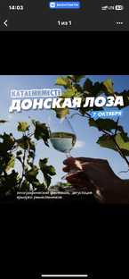 7 октября в станице Пухляковской  пройдет фестиваль Донских вин . 